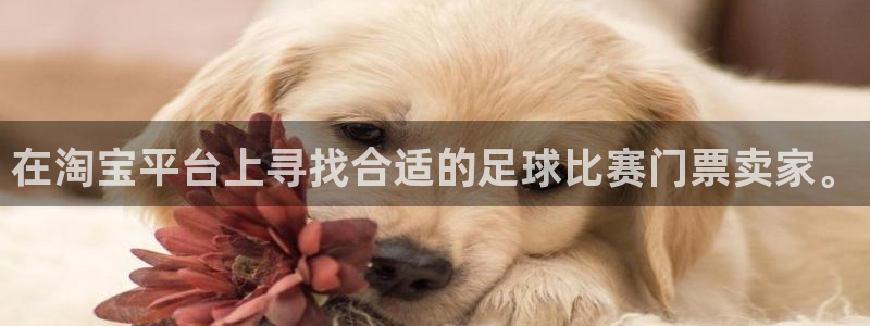在淘宝平台上寻找合适的足球比赛门票卖家。