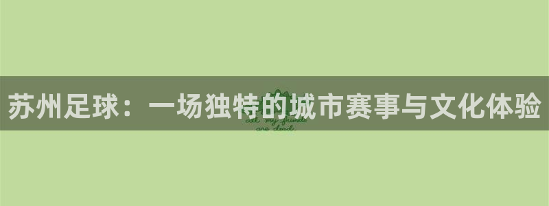 苏州足球:一场独特的城市赛事与文化体验