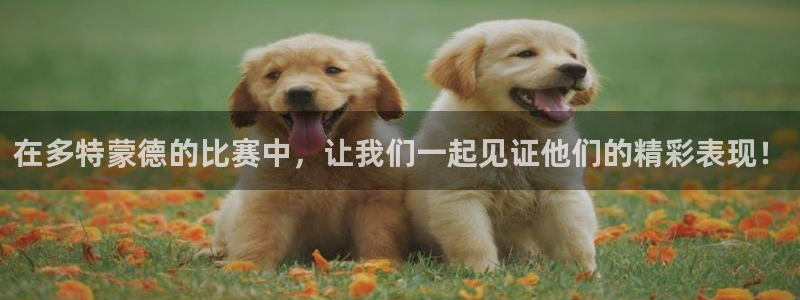 在多特蒙德的比赛中,让我们一起见证他们的精彩表现!