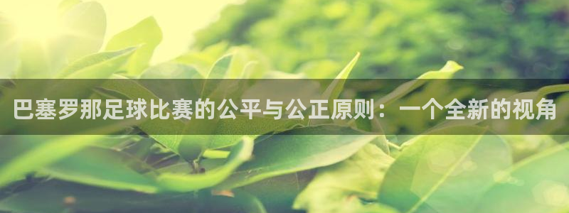 巴塞罗那足球比赛的公平与公正原则:一个全新的视角