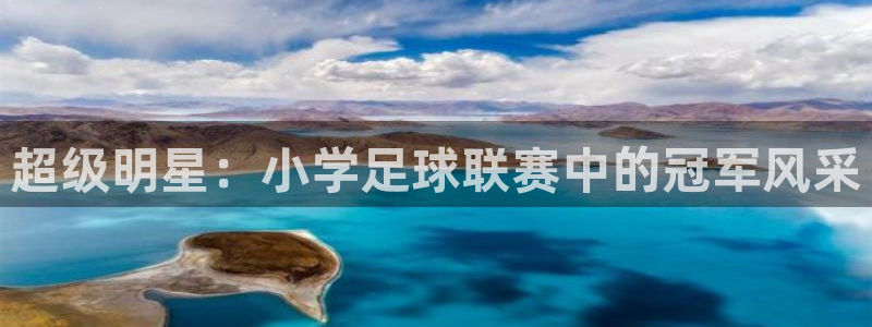 超级明星:小学足球联赛中的冠军风采
